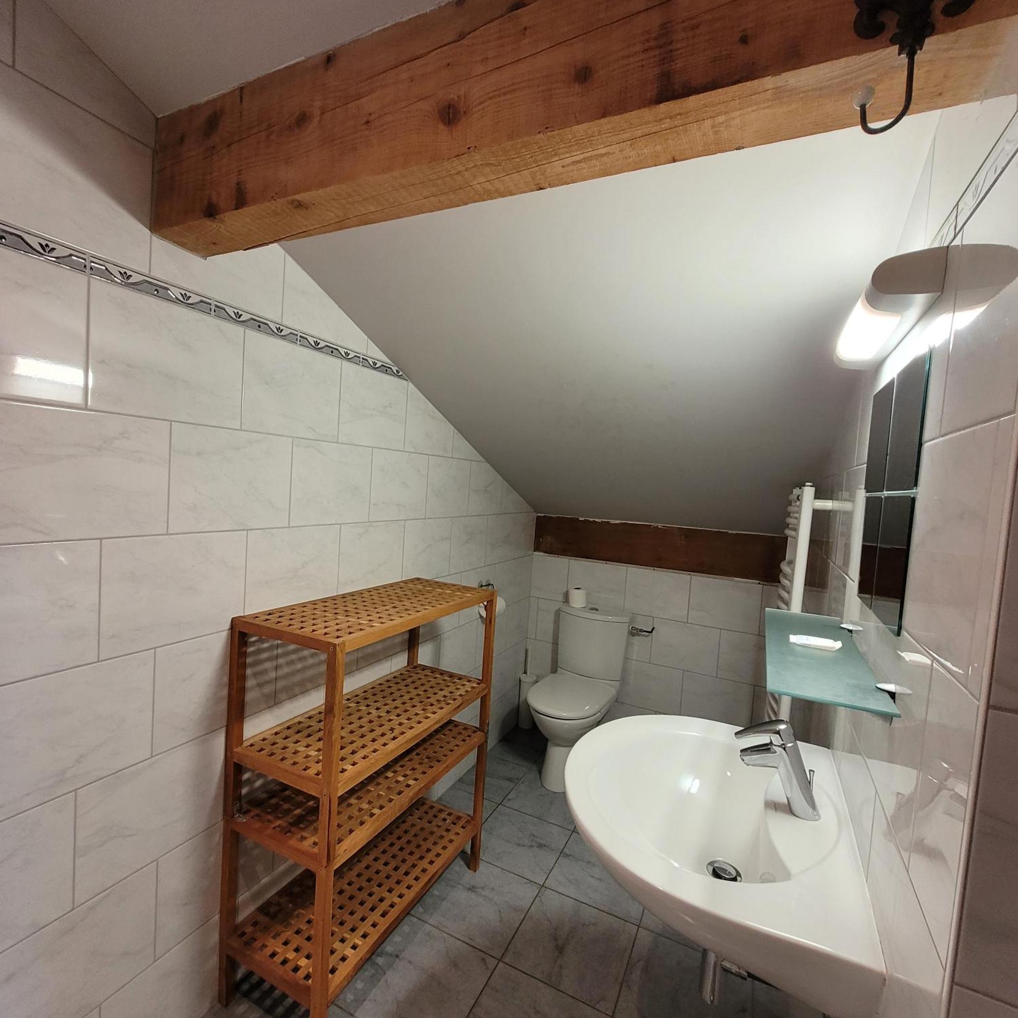 Hotel Du Lac Des Corbeaux ラ・ブレス エクステリア 写真